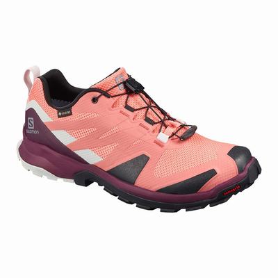 Női Salomon XA ROGG GTX W Terepfutó Cipő SA8351749 Korall/Fekete